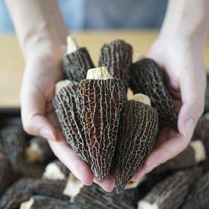 品优鲜云南羊肚菌