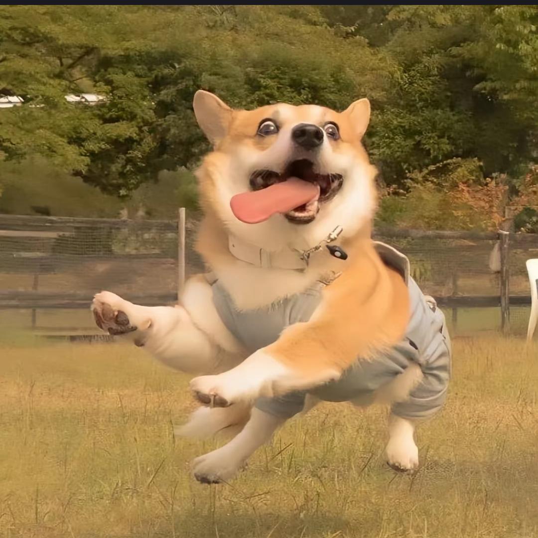 一口南瓜饼