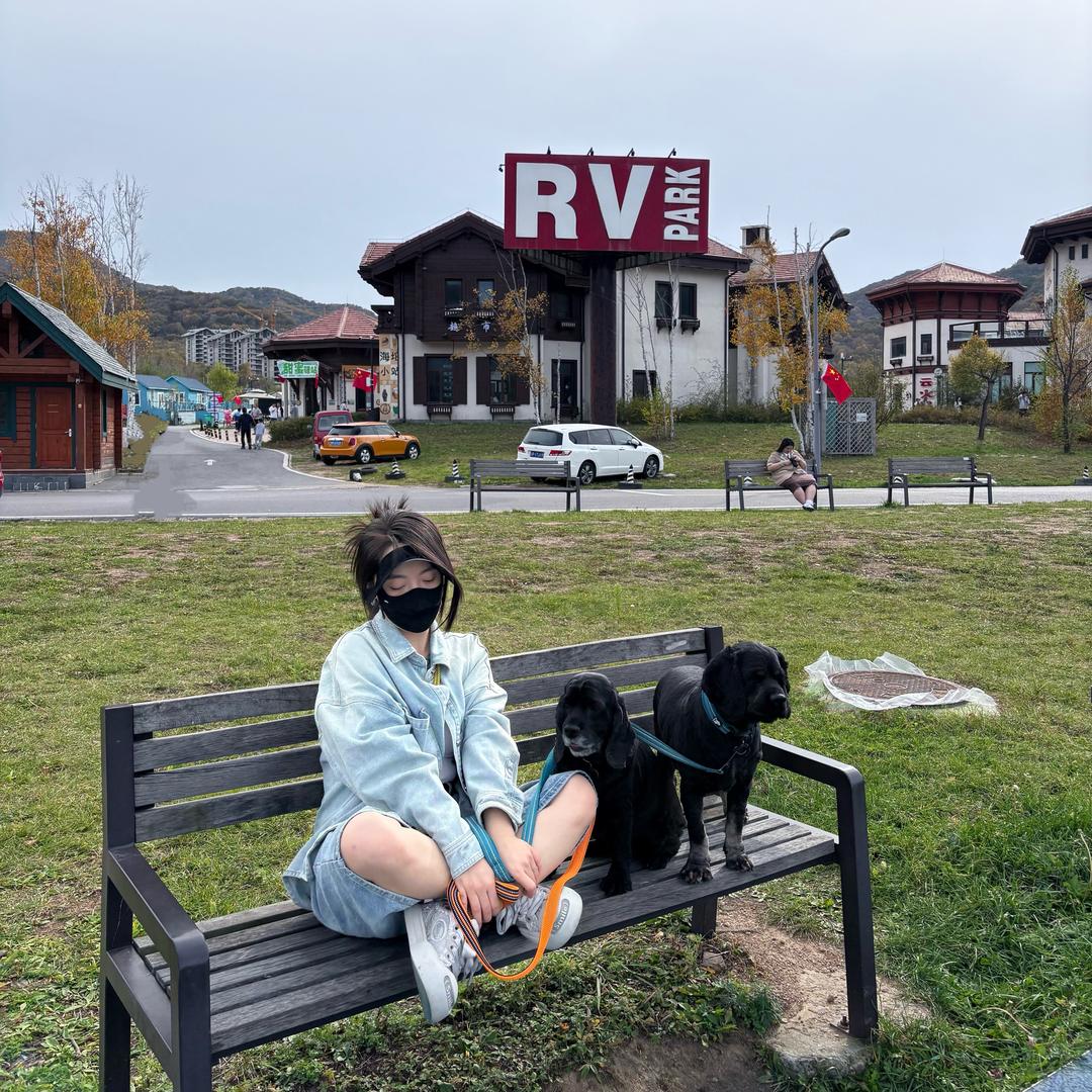 婧婧想静静🧚‍♀️