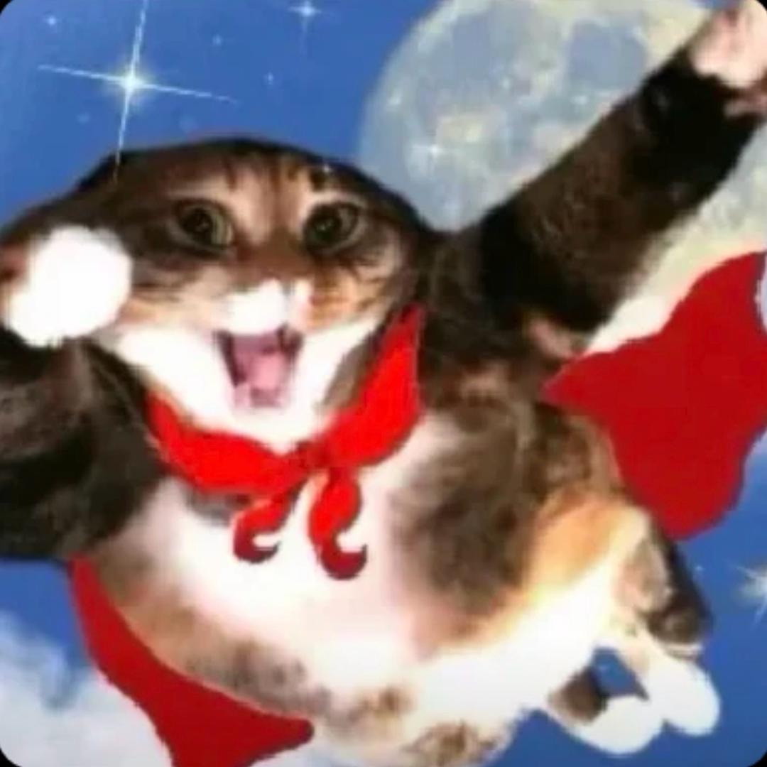 t t