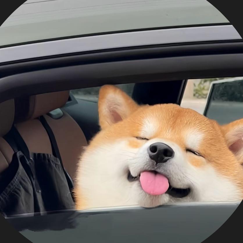 哈哈哈h