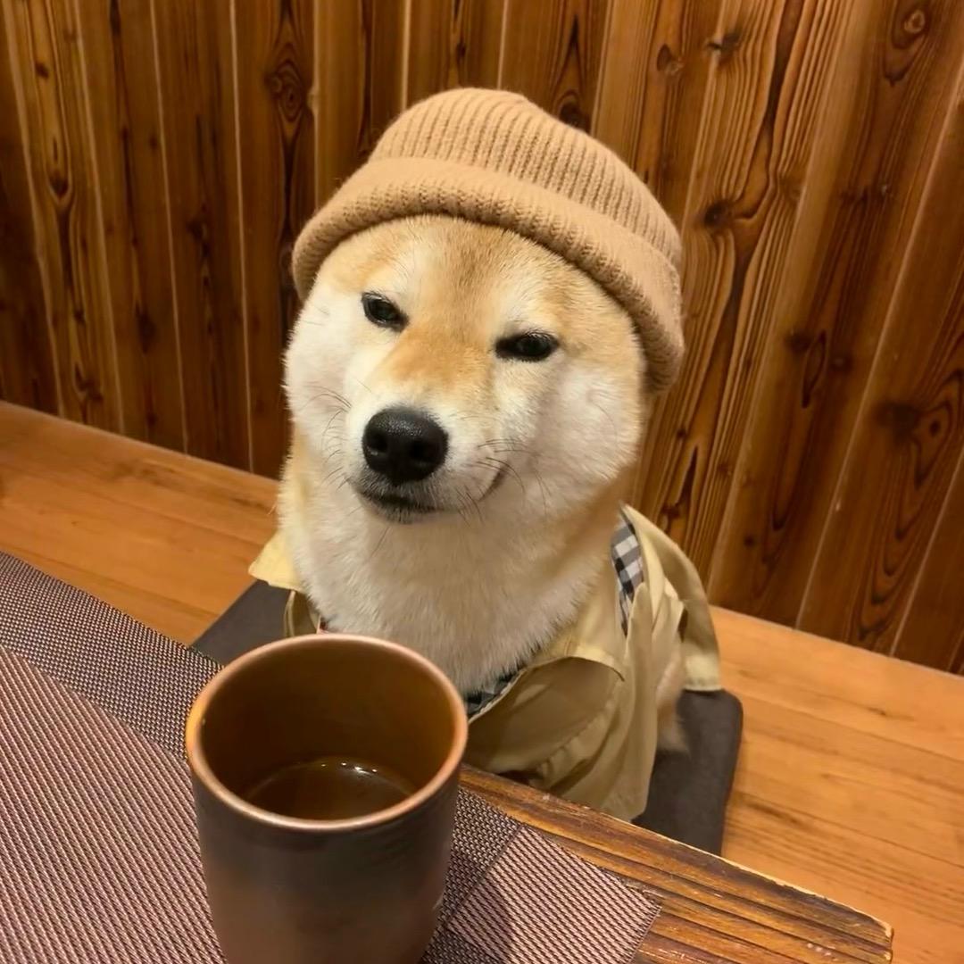 铁拳母暴龙