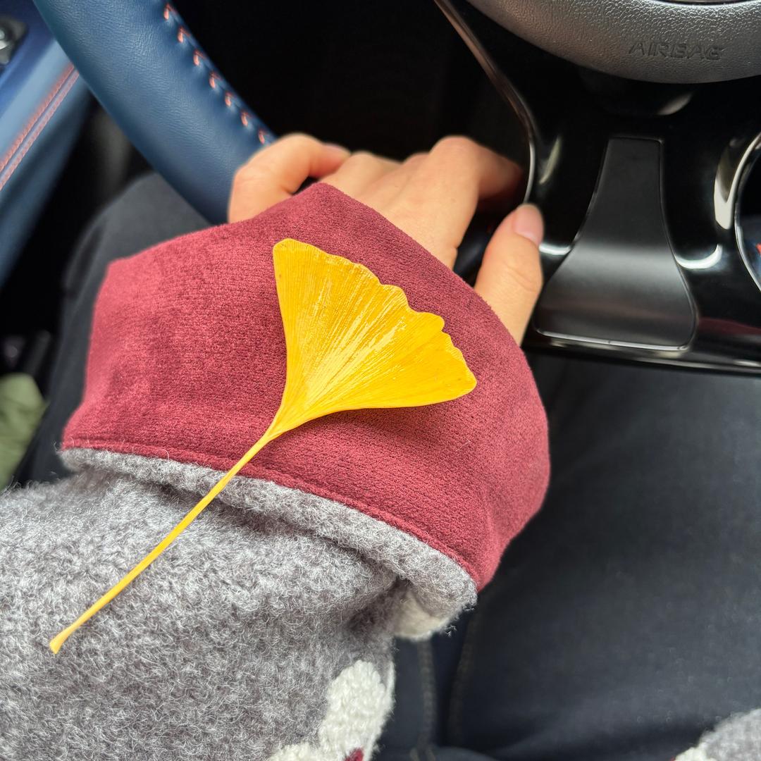 爱吃糖的小仙女