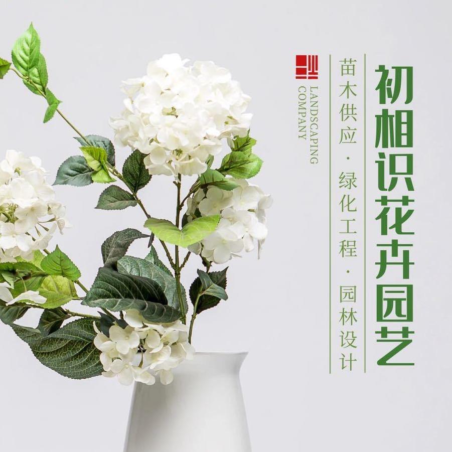 初相识花卉园艺