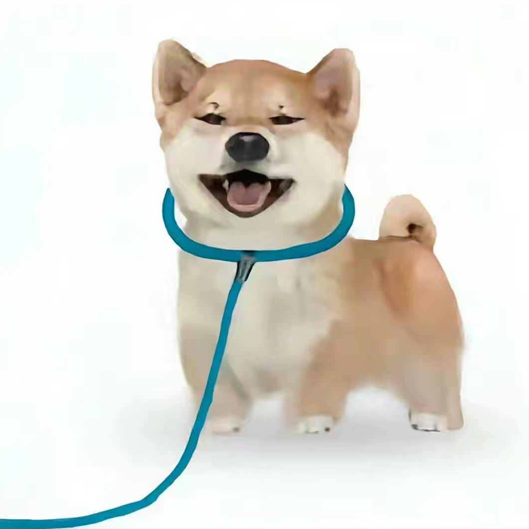 普信且下头66
