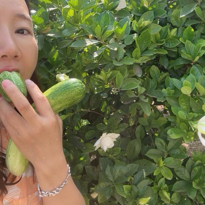 敏洁yazt