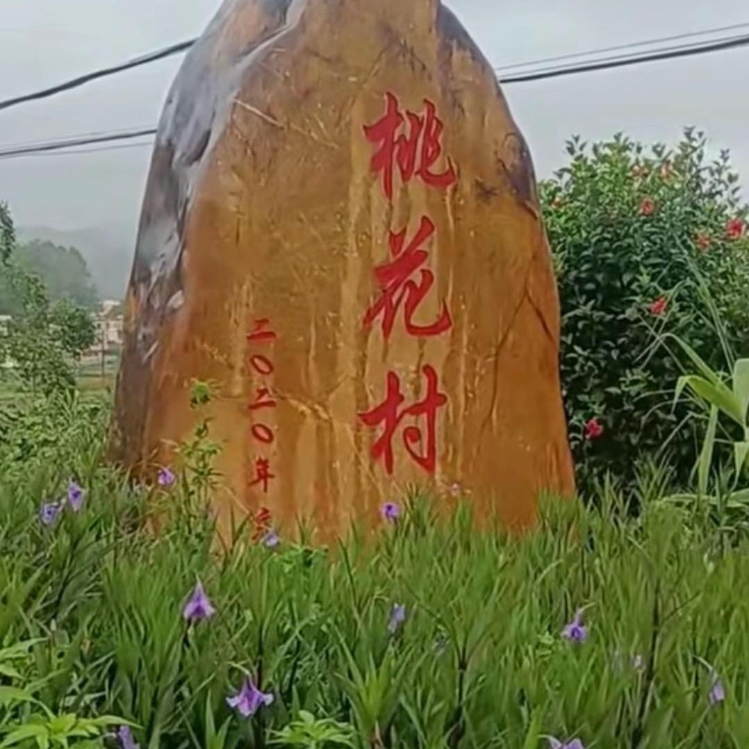 小新燕.