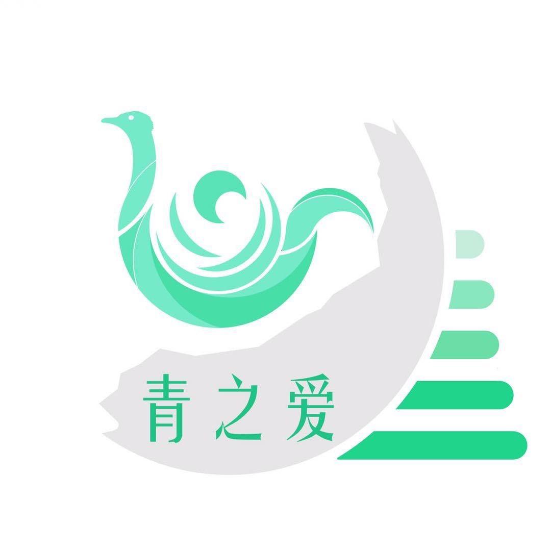 青之爱羽毛萌宠回收