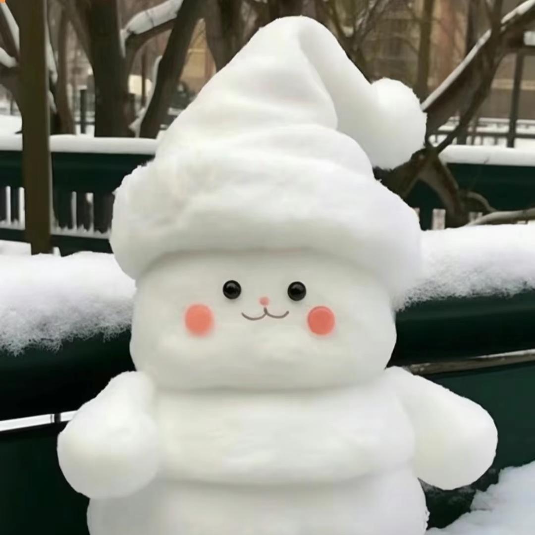 小猪🐷🐷