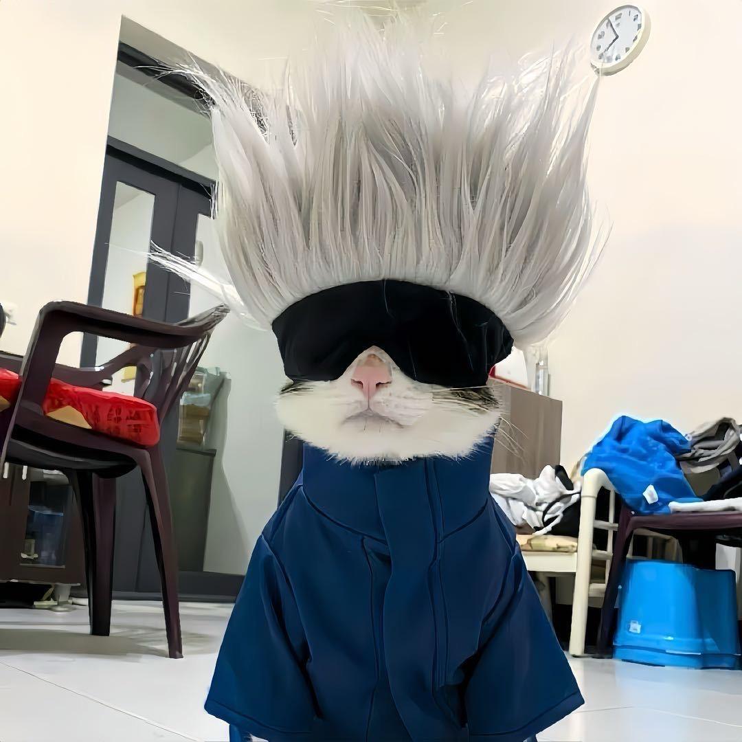 张巨鹿