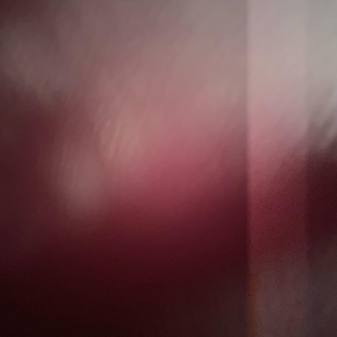 扬子