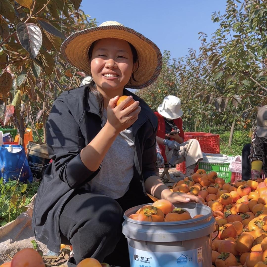 诗橙农产-阳丰脆柿