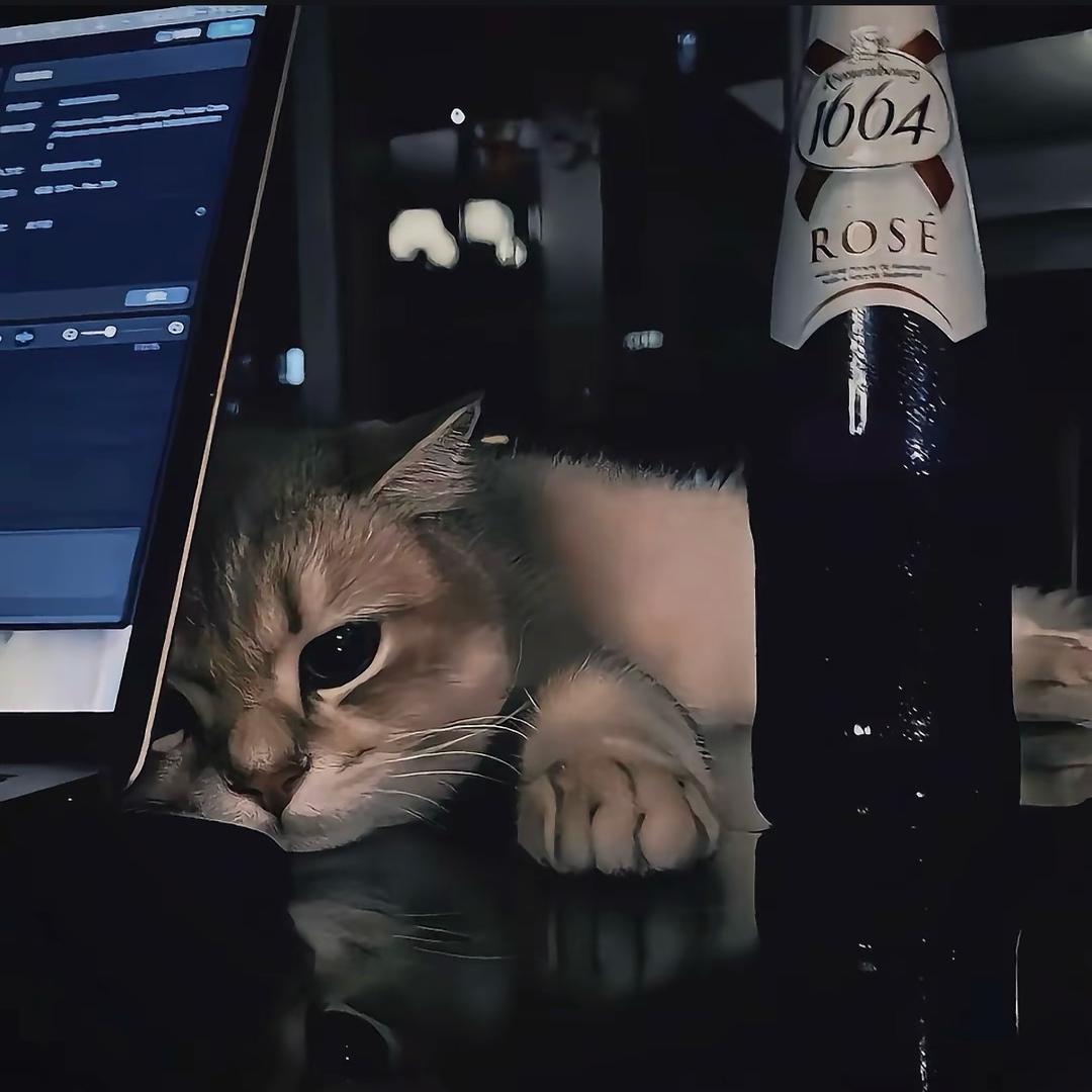 竖着走的小螃蟹🦀