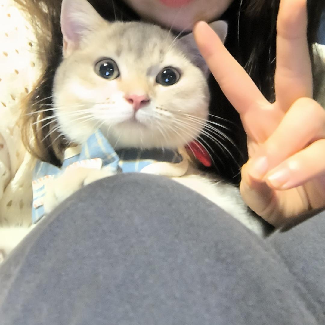 梦梦喜欢吃芒果