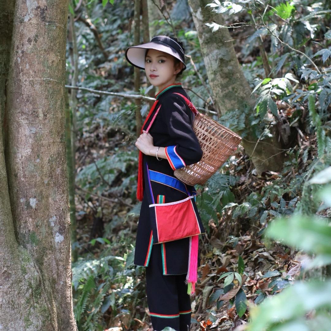 易武薄荷塘22号