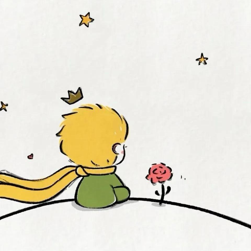 小王子💫