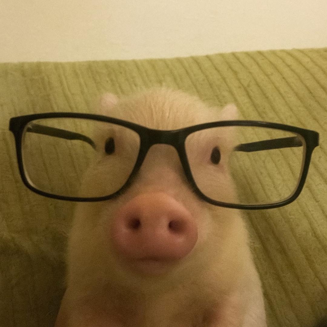 三十五