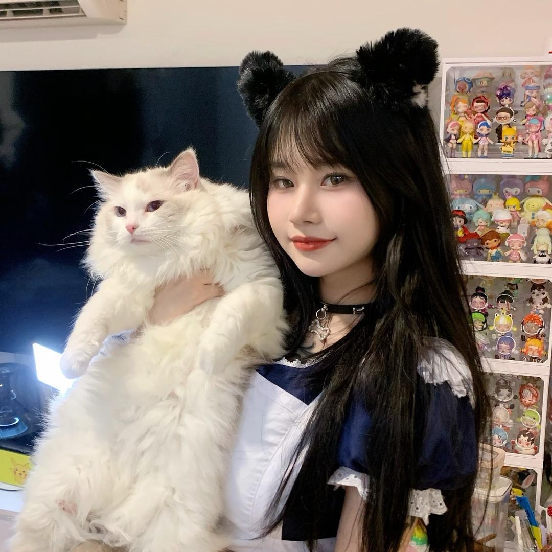 柚子皮（🐱配餐版）
