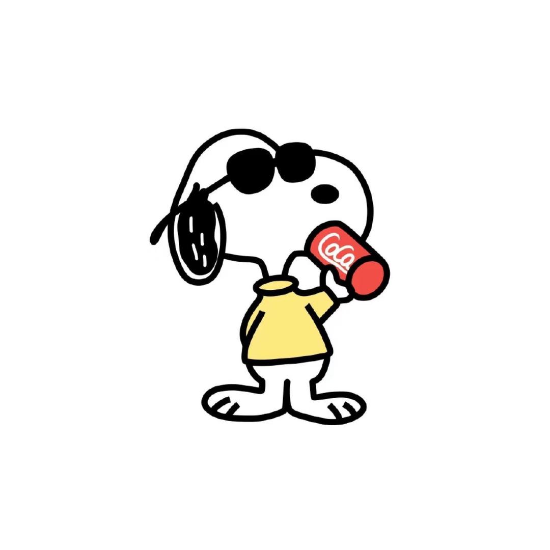 双开门的爱因斯凯