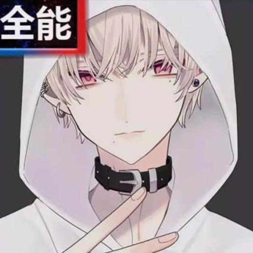 王者荣耀21公分