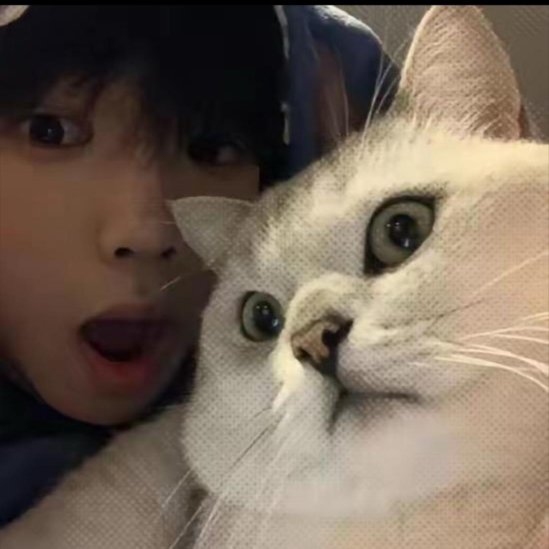 🐟