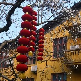 清心师傅7
