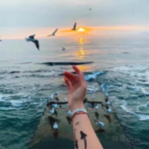 卡卡零食好物分享🌞