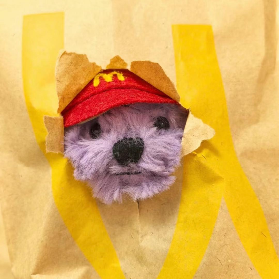 芋圆梦想去天涯海角吹笛子