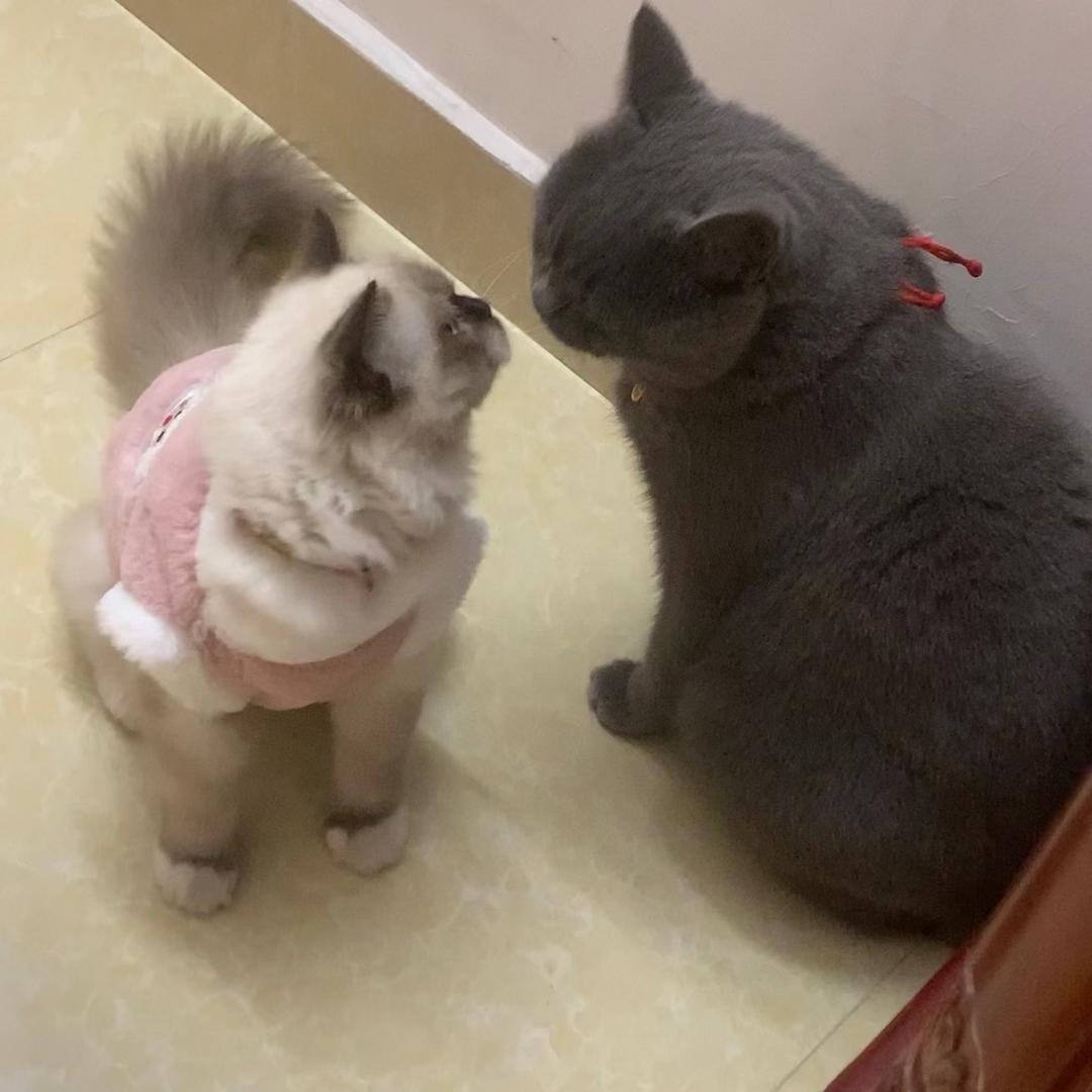 小君君呐～
