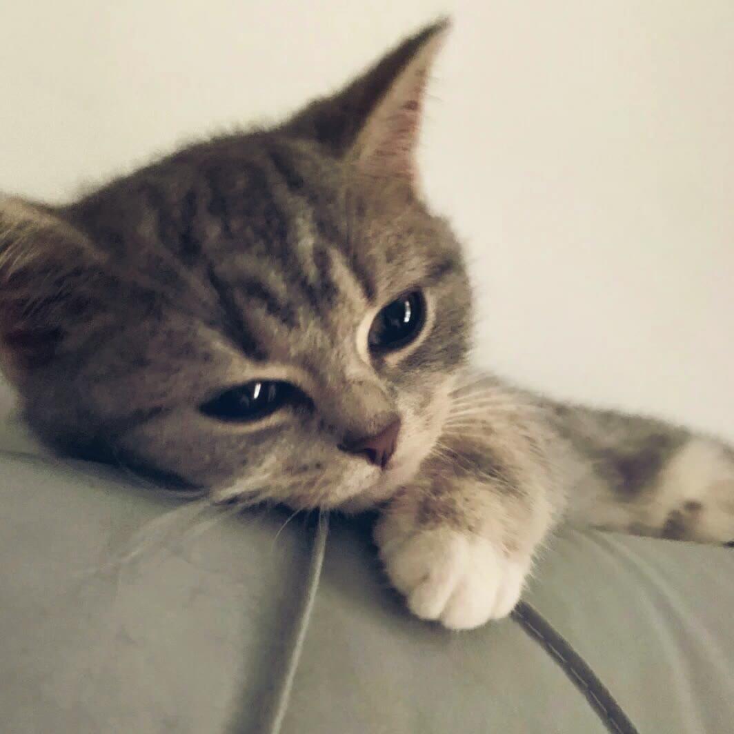 yiui⛄️