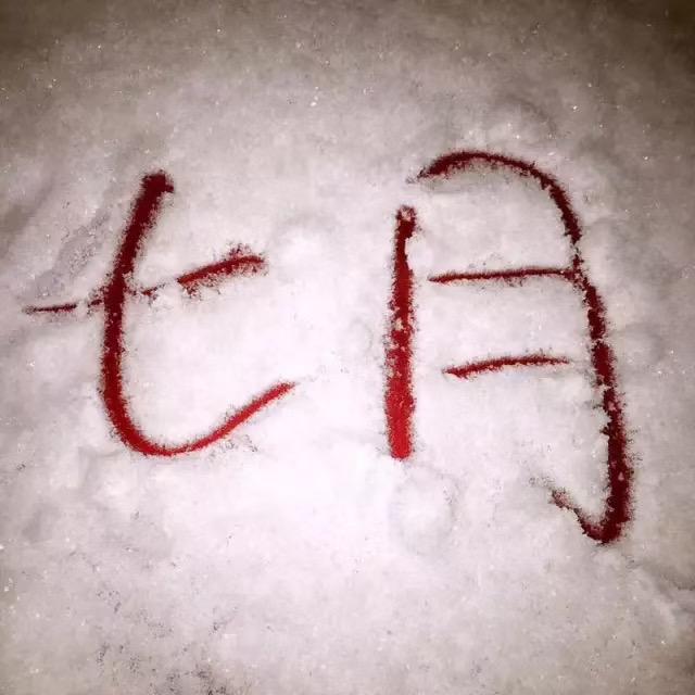 &雪落在孤独的城💰