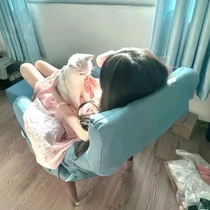 烤冷面