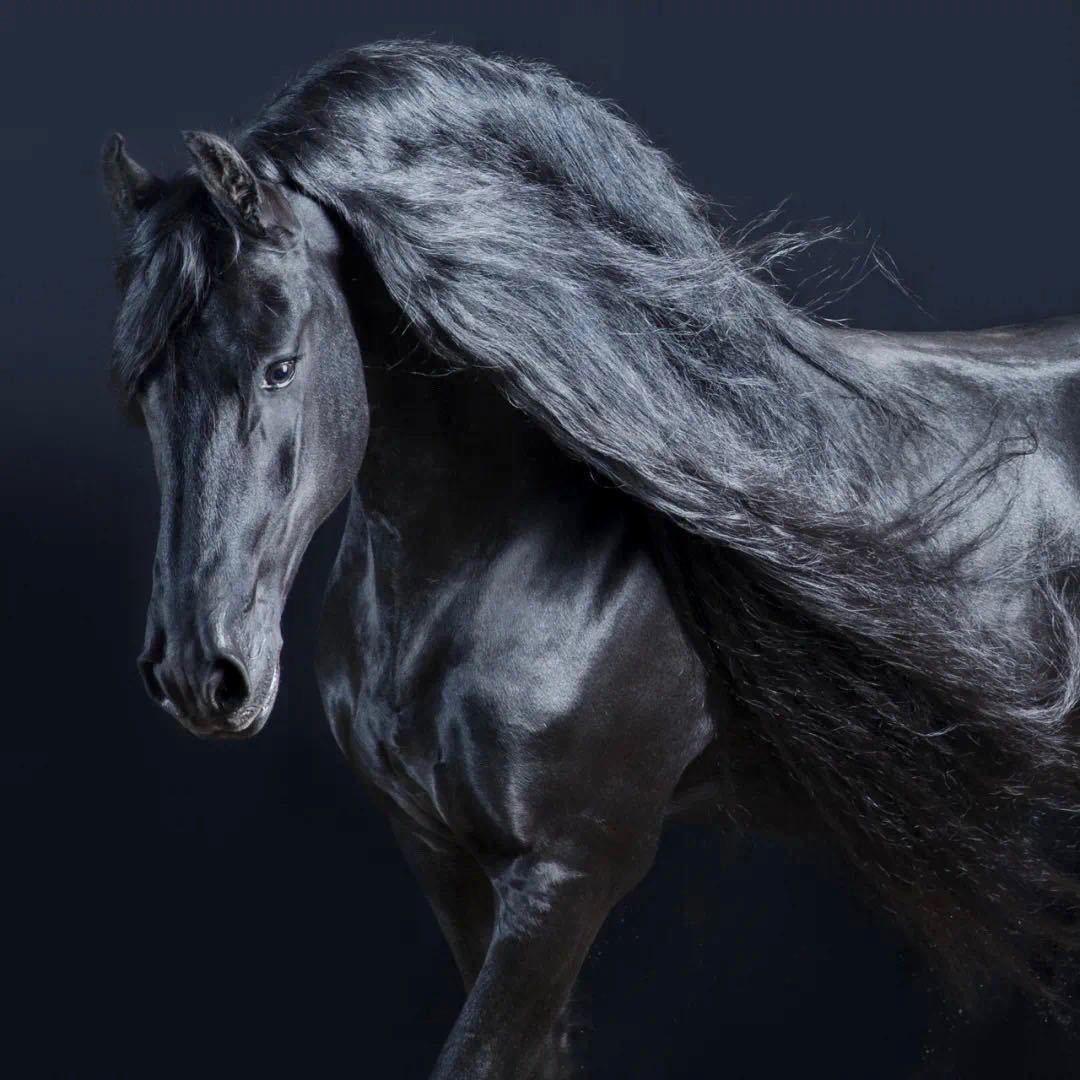 𝓐𝓻𝔃𝓾
