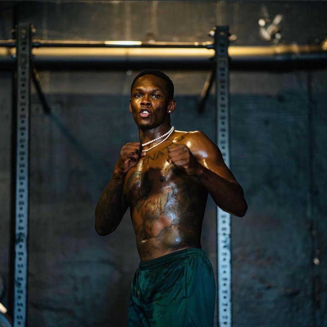 不会打拳的可乐