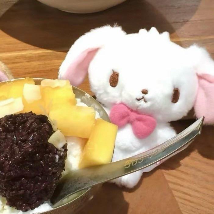 恰飯