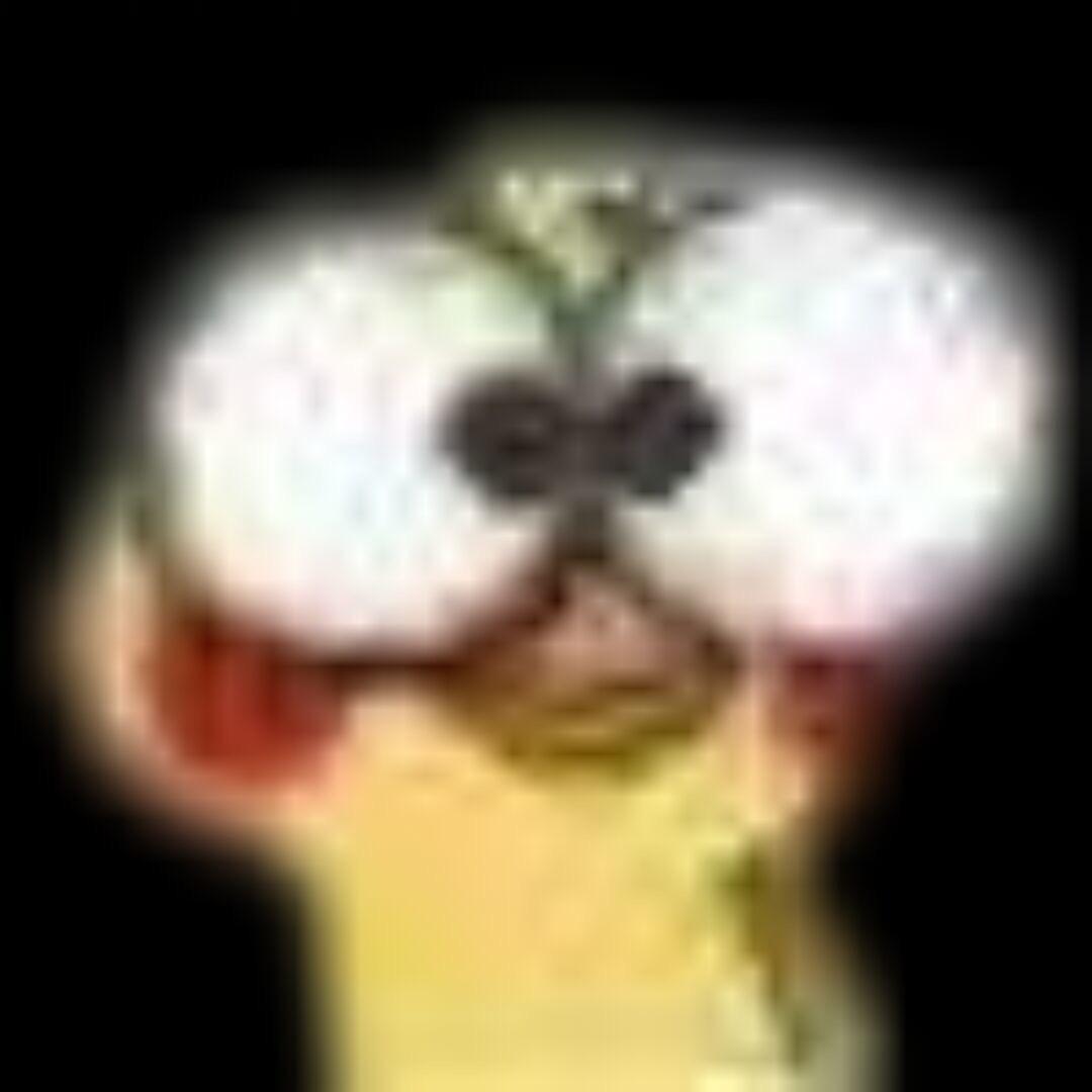 邹邹