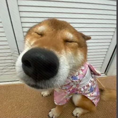 fzyy