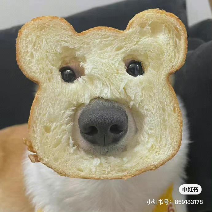 ¥¥¥。（收图）