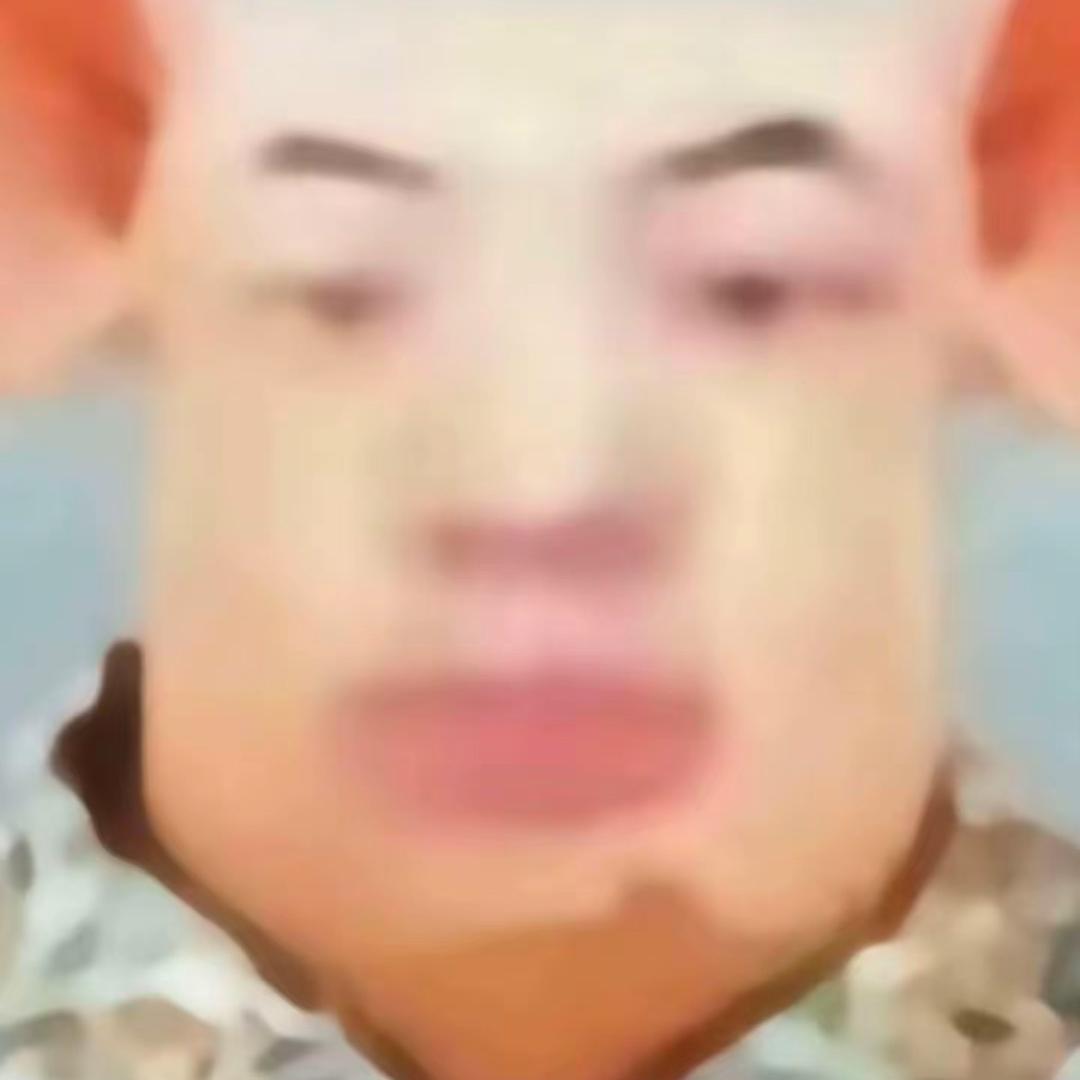 （老王圈）老王妈妈