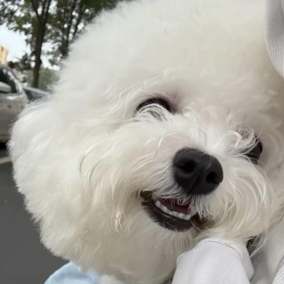 @寒