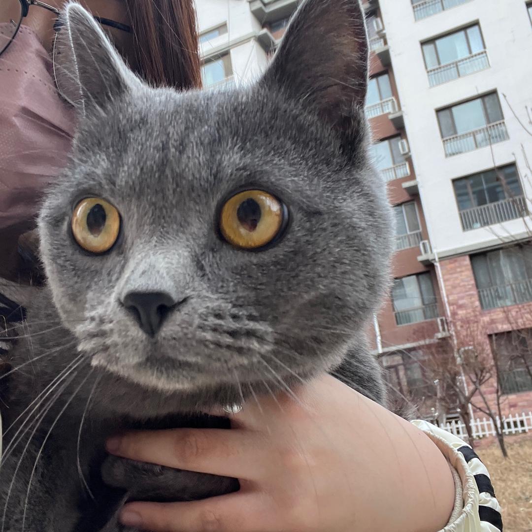 孤独心事