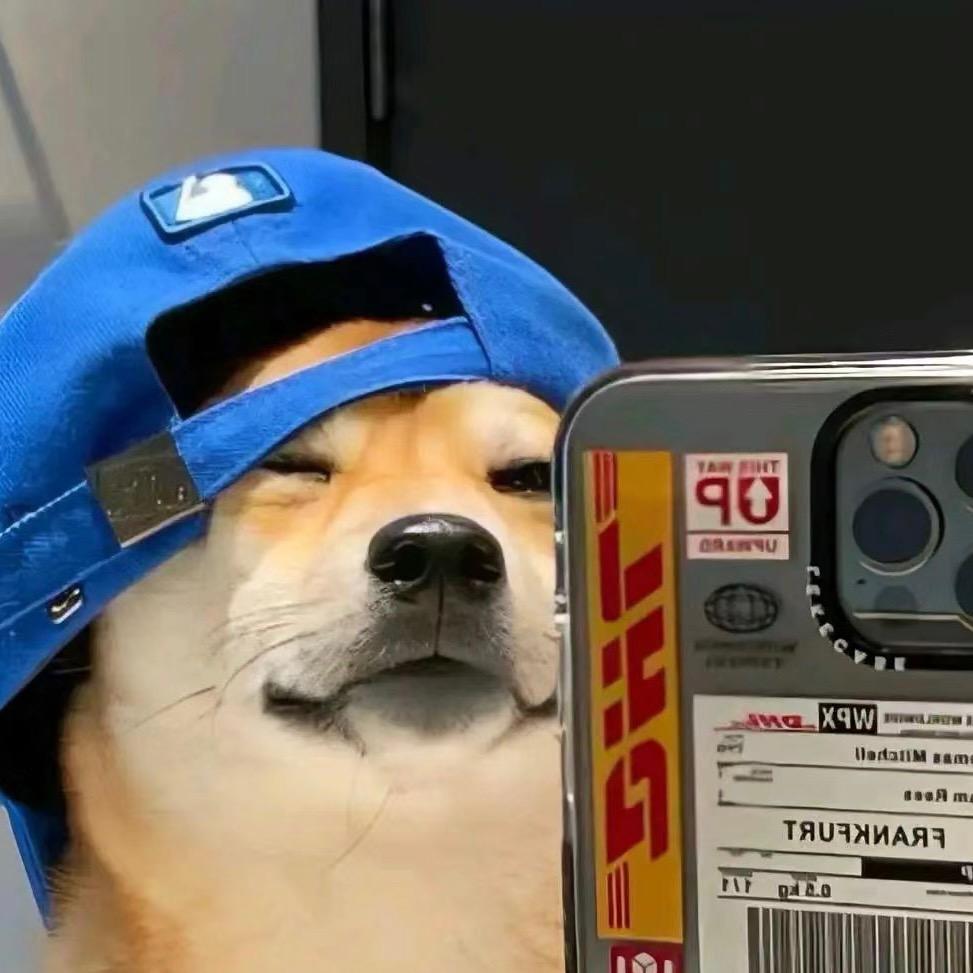 沪上狗仔