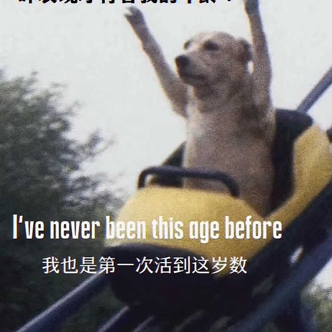 阿七