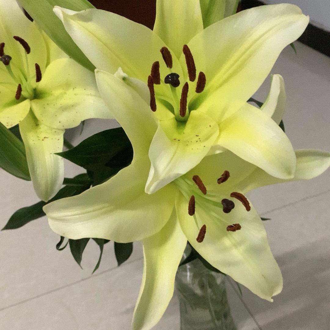 静待花开时
