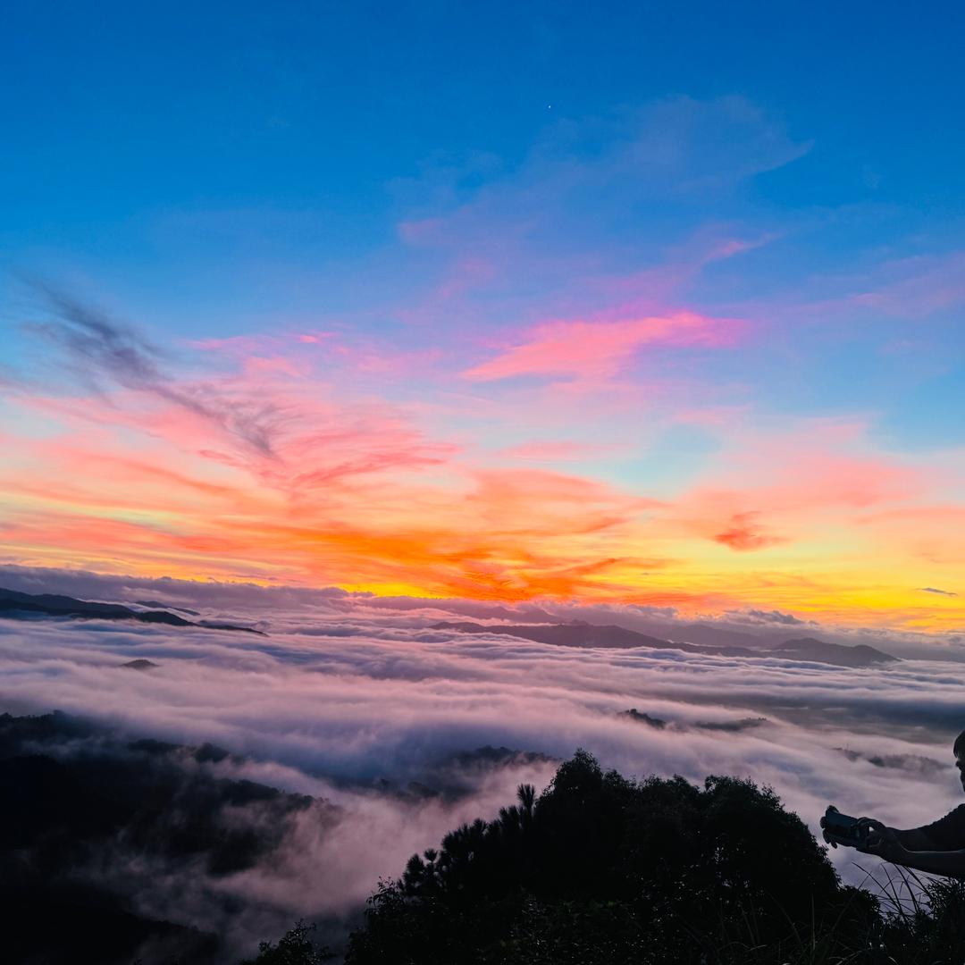 我爱燕子（日常生活常识）