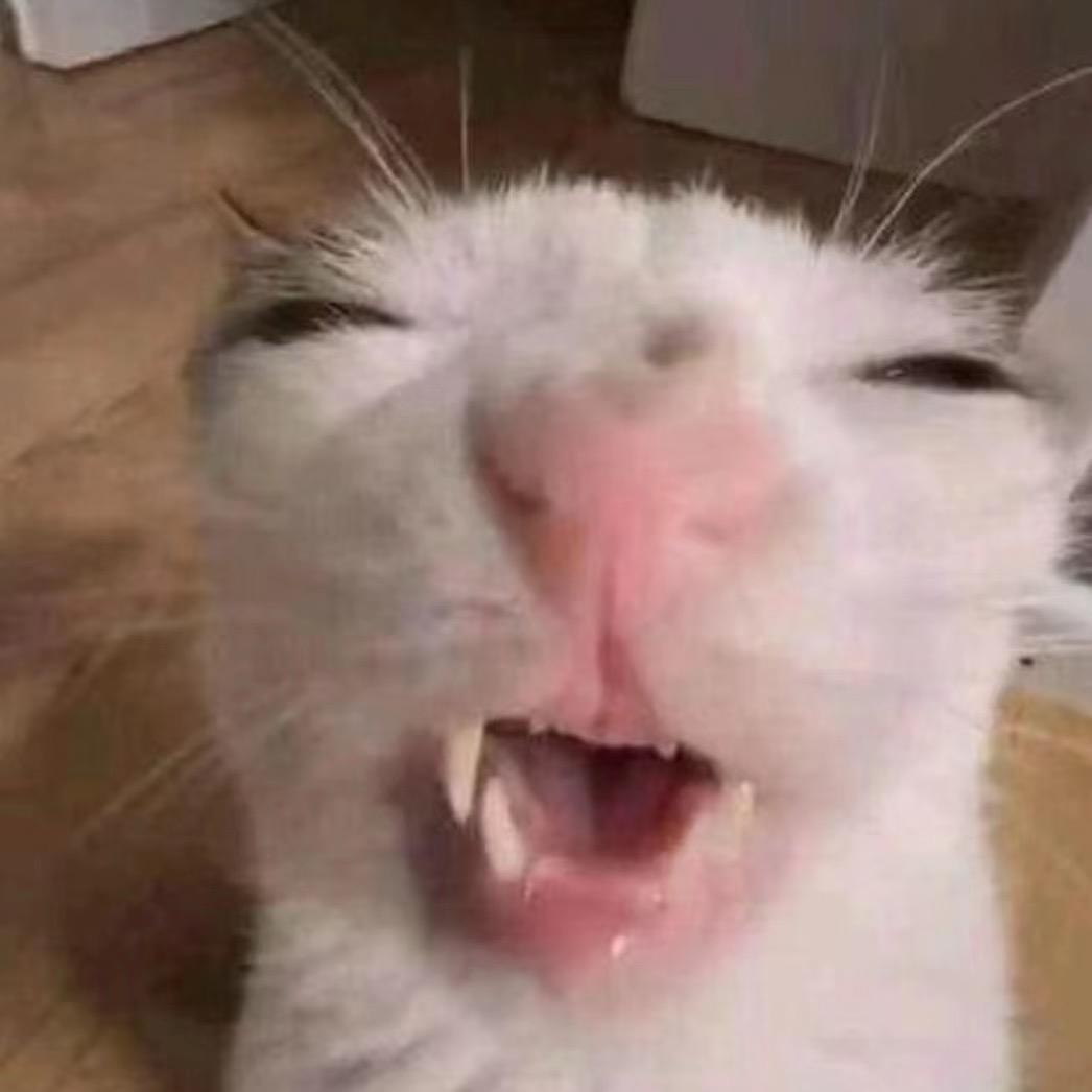 好咪子