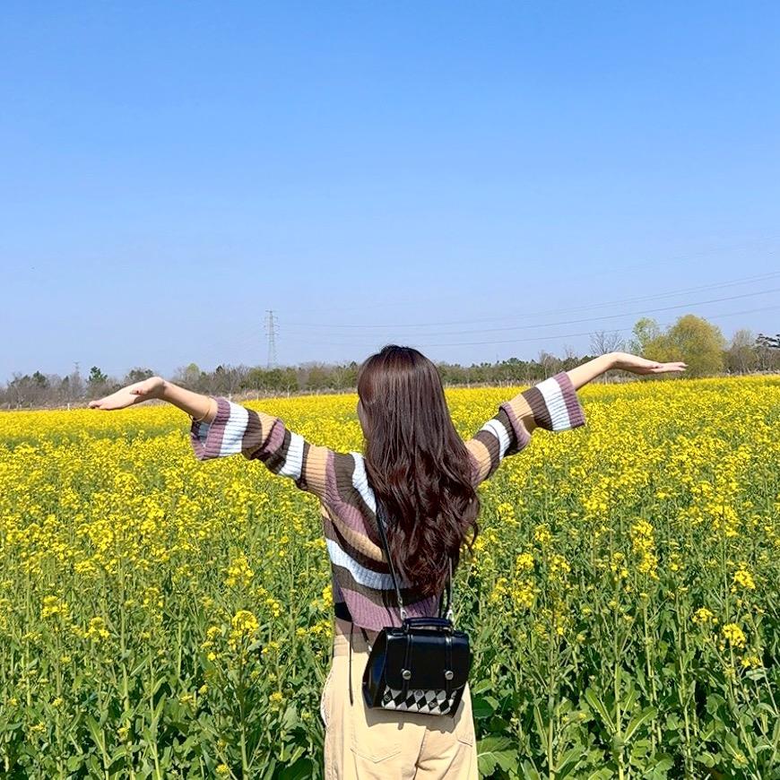 小高很哇噻！🕊️