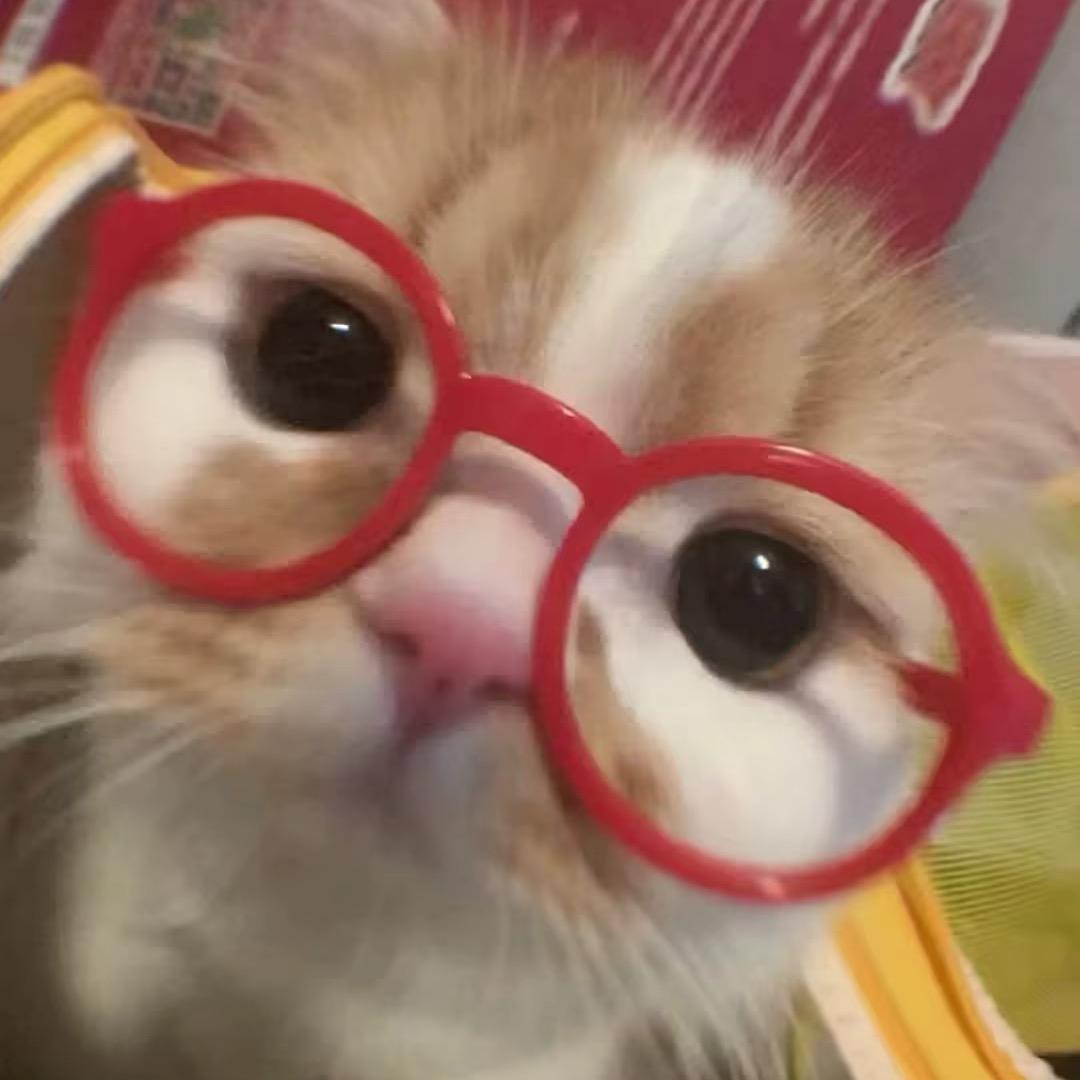 마예가
