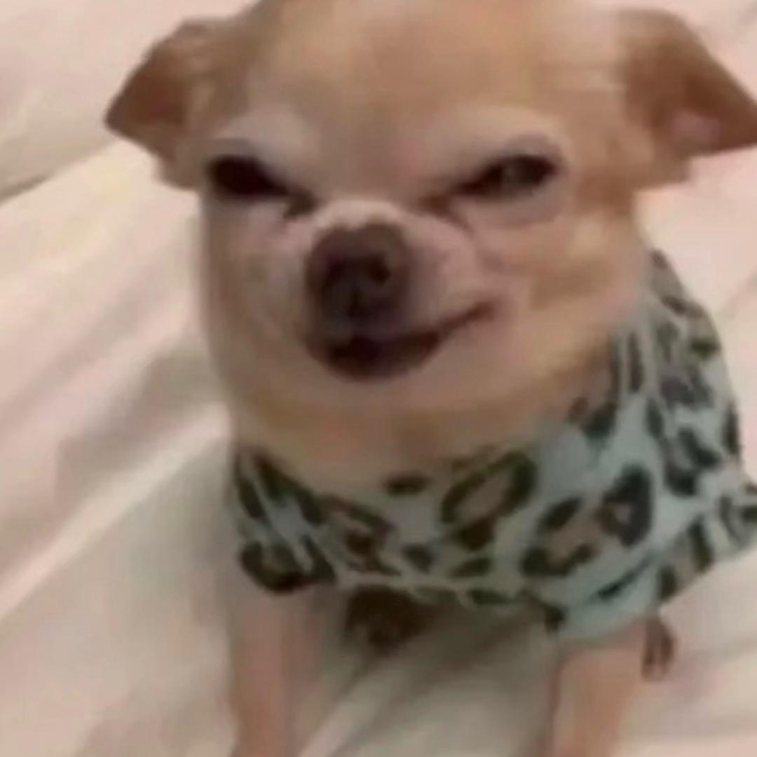 狂乱贵公子