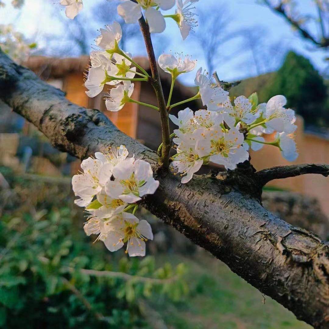桃桃水晶小铺